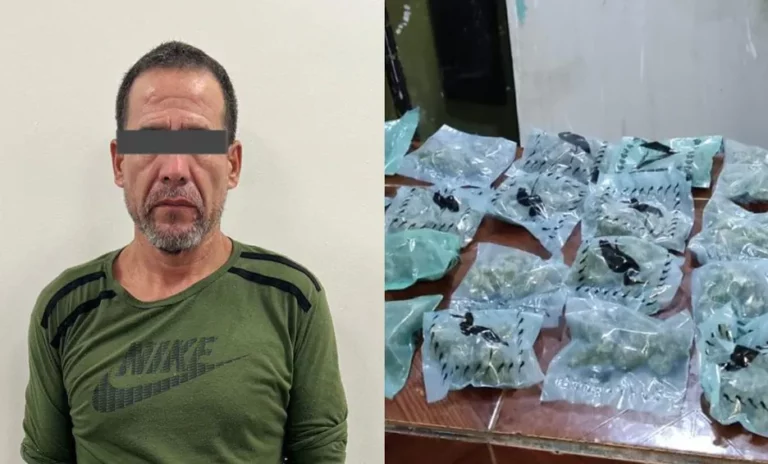 Detienen a dos y decomisan droga tras cateos en Ciénega de Flores