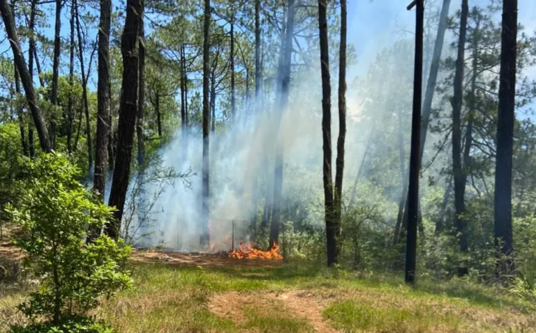 Reportan controlado incendio en la Sierra de Santiago