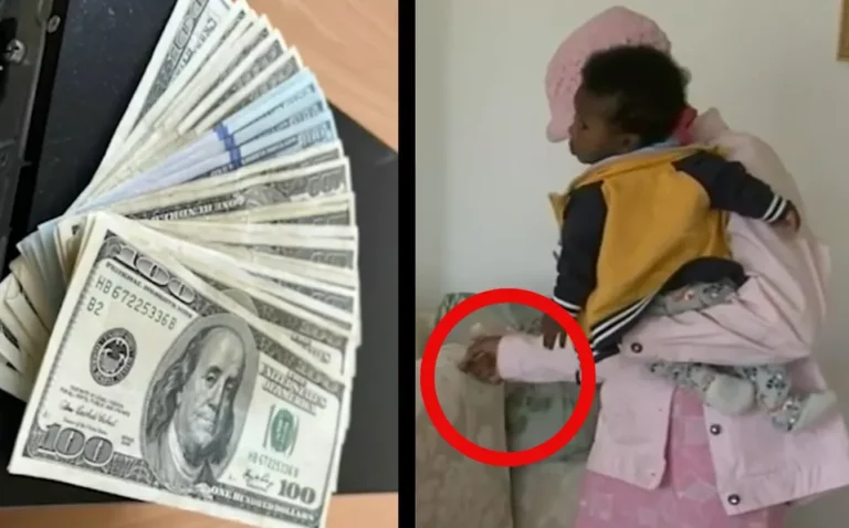 Mujer encuentra dinero escondido en un sofá usado; buscaba muebles gratis por internet