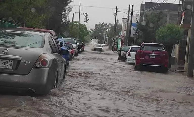 Registran lluvias en zona citrícola de Nuevo León