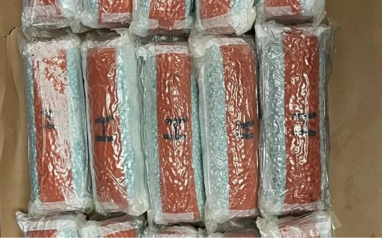 DEA anuncia el decomiso de 100 mil pastillas de fentanilo en Los Ángeles