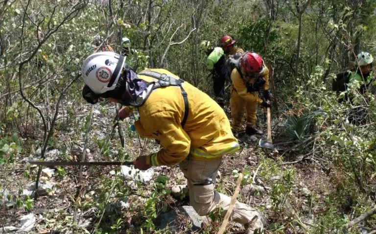 Reporta Protección Civil control del incendio en el Cerro de la Silla