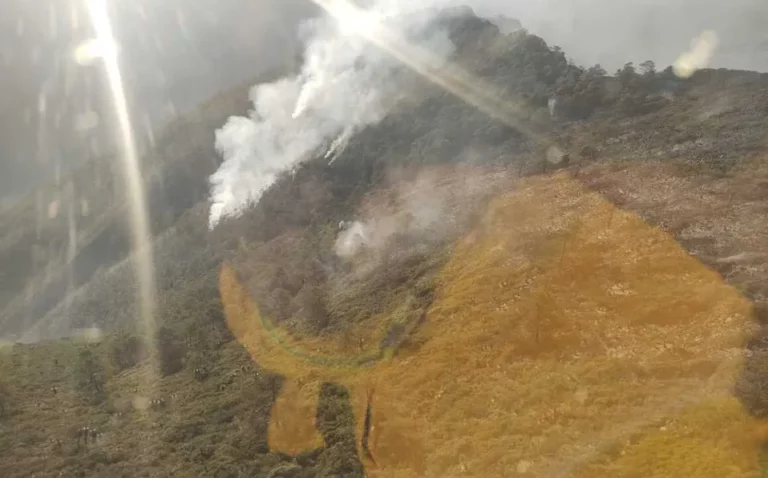 Continúa PC trabajando en el combate de incendio en Sierra de Rayones