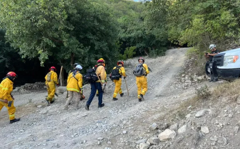 Continúan brigadistas labores para sofocar incendio en el Cerro de la Silla