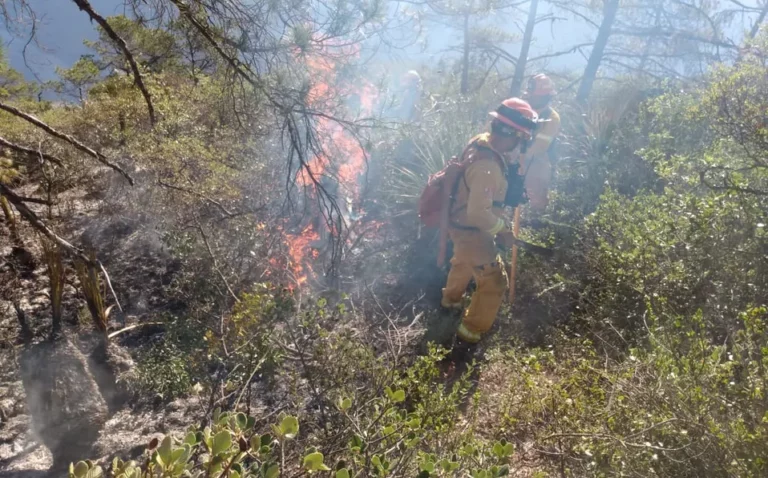 Controlan 80 por ciento del incendio forestal en Rayones, NL