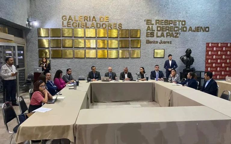 Busca Palacios Pámanes trabajar en una nueva Ley de Seguridad