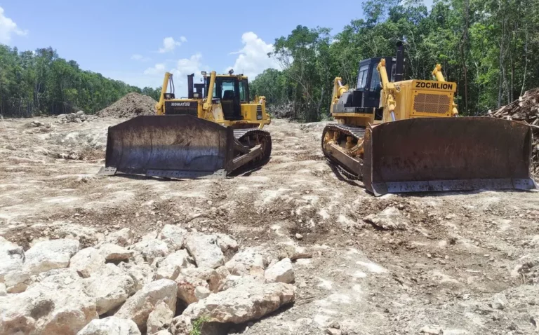 Reportan avances menores al 50% en Tren Maya en cuarto Informe de gobierno