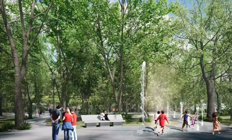 Anuncia San Pedro retirará pintura de árboles del parque Naranjo