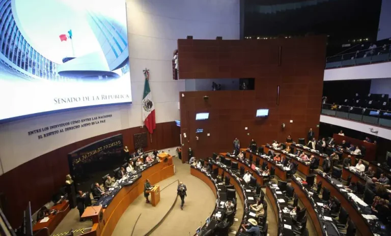 Senado no alcanza mayoría para elegir ministra de la Corte por segunda ocasión