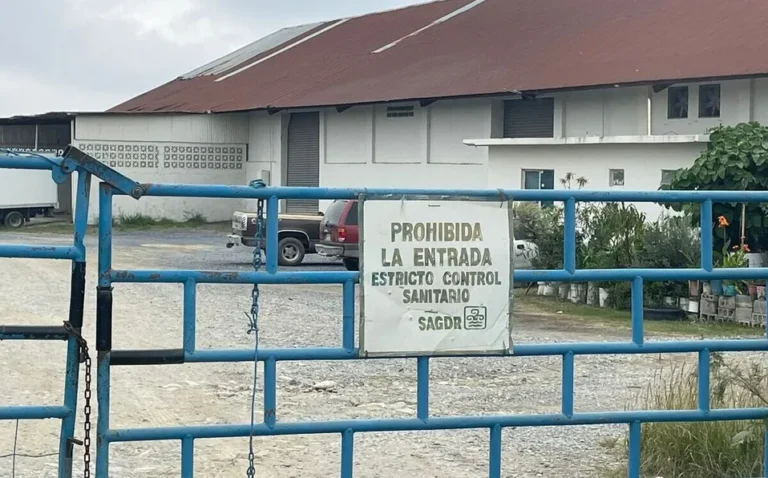 Informa Salud NL realizaron estudios de influenza aviar a 40 personas