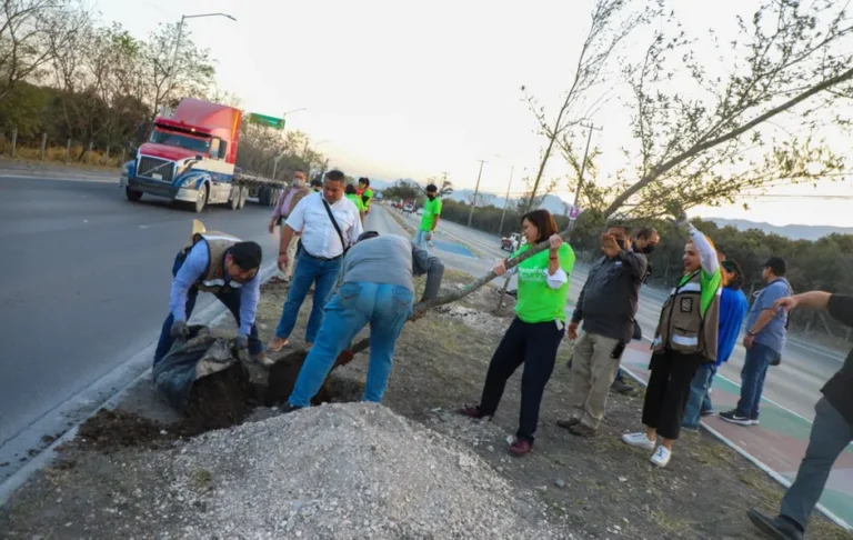 Refuerzan campaña de reforestación con el programa “Respira Guadalupe”