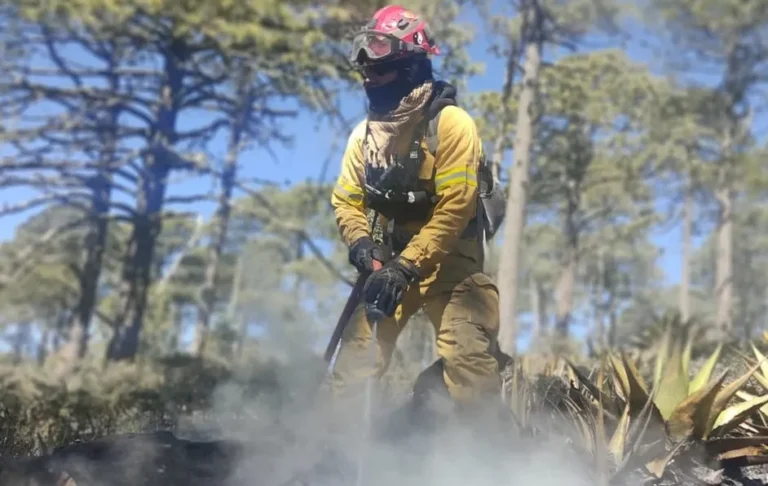 Informa PC controlan al 100 por ciento incendio en Ciénega del Toro