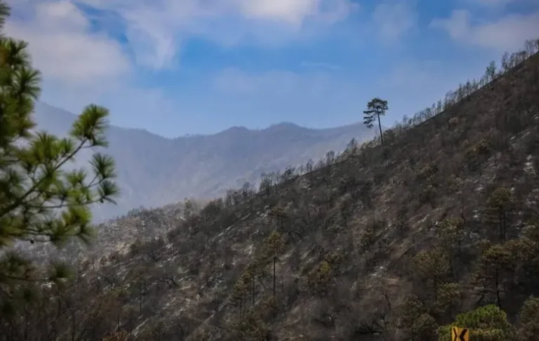 Monitorean con cámaras sierra de Iturbide, Galeana y Aramberri; buscan detectar incendios