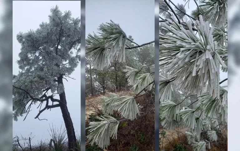 Reportan aguanieve y temperatura de 4 grados bajo cero en Sierra de Santiago