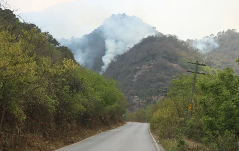 Anuncian sanciones de hasta 13 años de cárcel por incendios forestales en NL