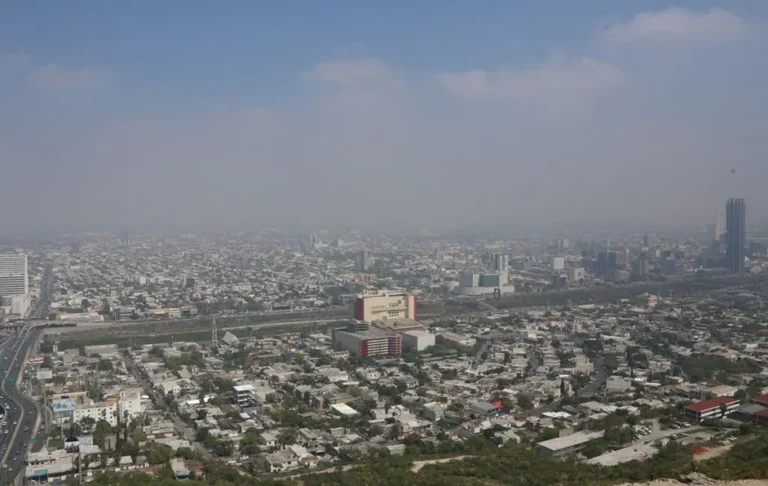 Llevarán a cabo marcha por el medio ambiente en Nuevo León