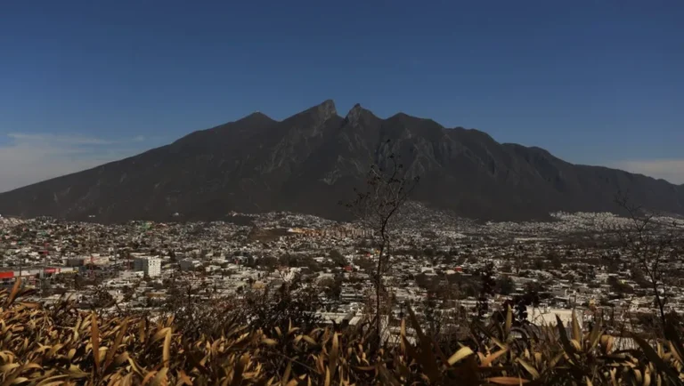 Registran cuatro municipios de Nuevo León la mitad de los despojos en la entidad