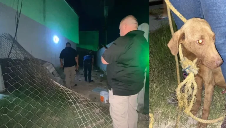 Denuncian maltrato animal en una casa en Apodaca