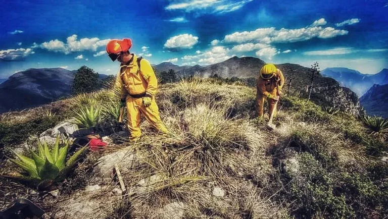 Reporta Protección Civil 6 incendios forestales en Nuevo León