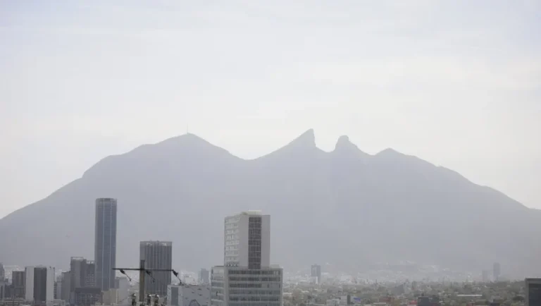 Solicitan esfuerzos colectivos para enfrentar cambio climático en NL