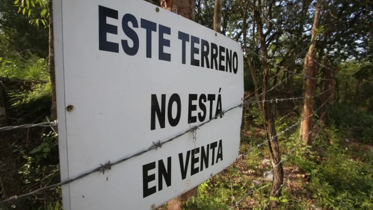 Colocan anuncios para evitar que los despojen de terrenos en Santiago, NL