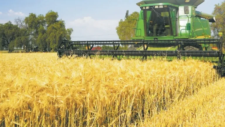 Se ubica NL en el lugar 30 en mano de obra para el campo