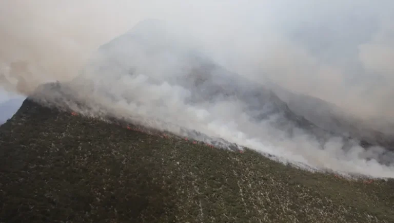 Continúa Protección Civil combate de incendio forestal en Santa Catarina