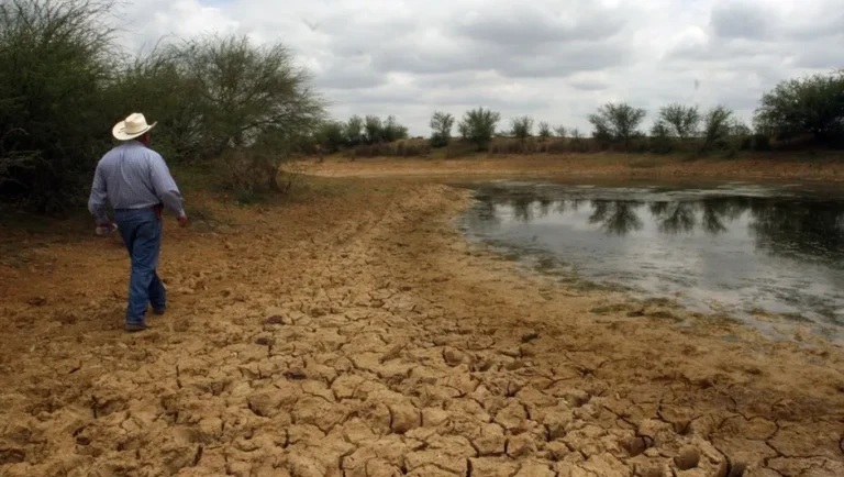 Destaca sector agrario al clima como su mayor problema en NL