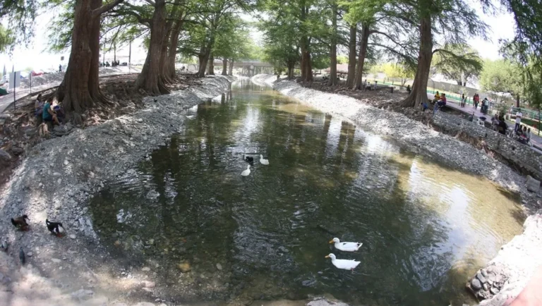 Piden cuidar ríos y arroyos de la Zona Metropolitana de Monterrey