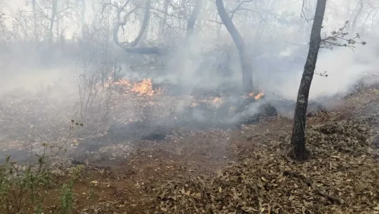 Señalan aumento de incendios en Nuevo León por onda de calor