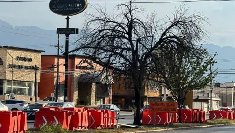 Reportan en abandono áreas verdes de zona metropolitana de Monterrey