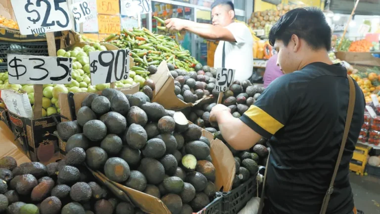 Señalan que aumento en el precio del aguacate es por altas temperaturas