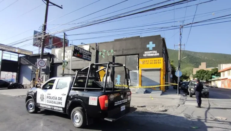 Balean gimnasio y veterinaria en avenida Eloy Cavazos