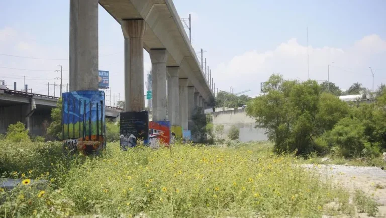 Movimiento Ciudadano pide a autoridades reforzar vigilancia en río Santa Catarina