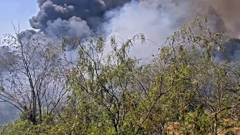 Incendio consume 24 tejabanes cerca del río Pesquería, en Escobedo