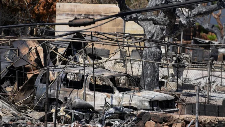 Mueren dos mexicanos por incendios en Maui, Hawái