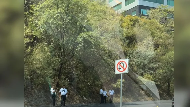 Registran detonaciones sobre avenida San Ángel en el municipio de San Pedro