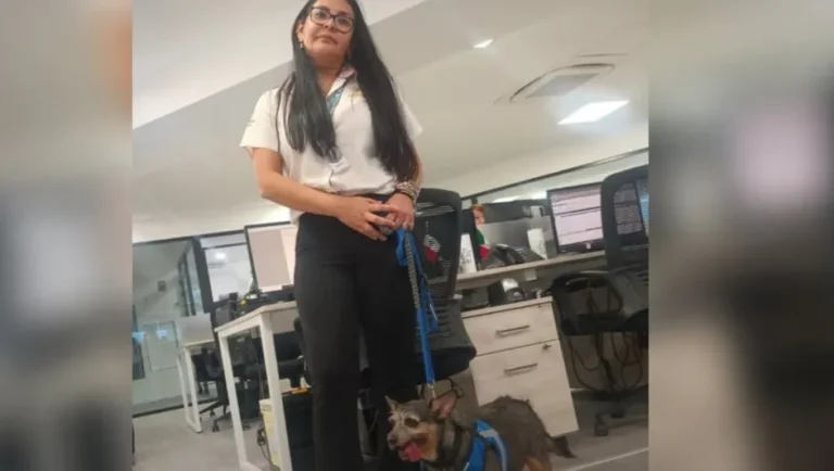 Nuevo León implementa el programa Pet Friendly en sus oficinas