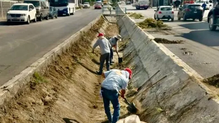 Inicia Santa Catarina con programa de limpieza y recarpeteo