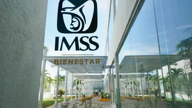 Estos son los pasos para registrarte a IMSS-Bienestar y tramitar tu credencial