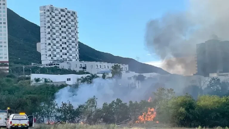 NL acumula 122 delitos contra el medio ambiente en 5 años