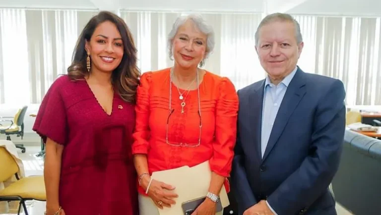 Entregarán a Sheinbaum agenda de mujeres al iniciar campaña