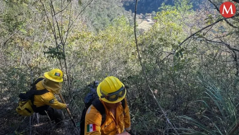 Incendio forestal en la sierra de Santiago ya consumió 10 hectáreas, reportan