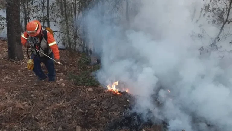 Establecen zonas de veda para uso de fuego en NL para reducir incendios forestales