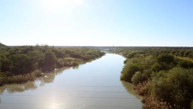 Presas de Nuevo León presentan baja en almacenamiento, reportan