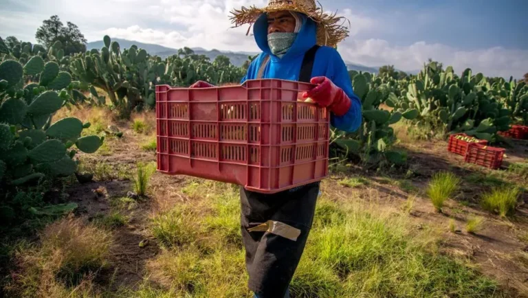 Actividad económica de México crece 1.4% durante febrero: Inegi