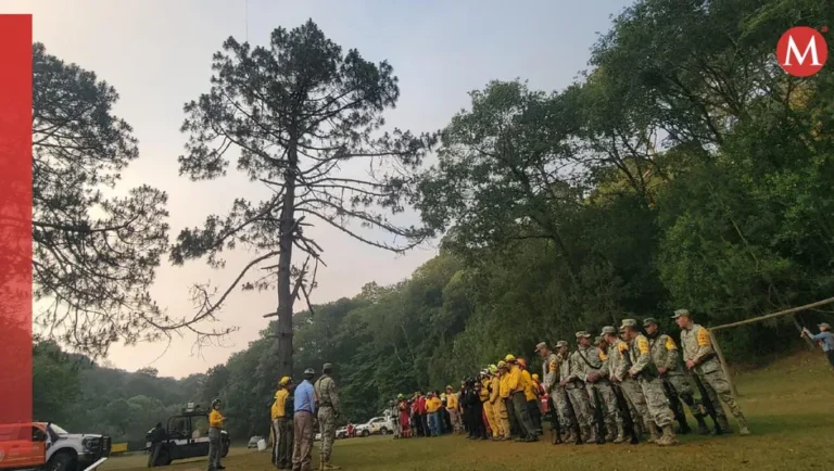 Reportan 200 hectáreas consumidas en la Sierra de Santiago tras incendio