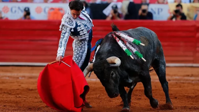 Suspenden corridas de Toros en la Plaza México