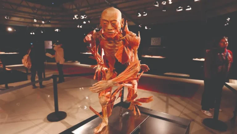 Llega la exposición ‘Our Body. El Universo dentro’, a México