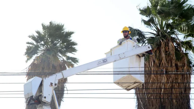 Aumento de calor incrementó la demanda eléctrica en 13%: CFE